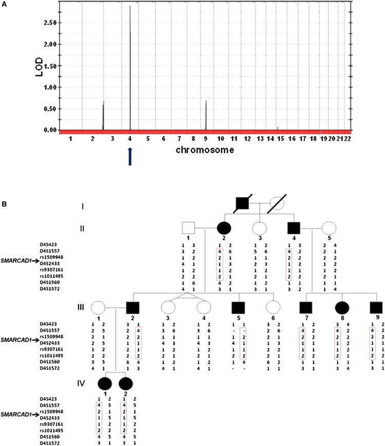 Figure 2