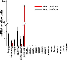 Figure 4