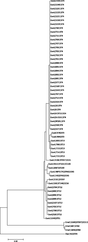 Fig. 6