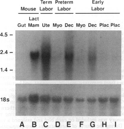 graphic file with name pnas01091-0546-a.jpg