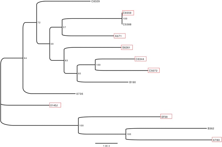 Figure 6