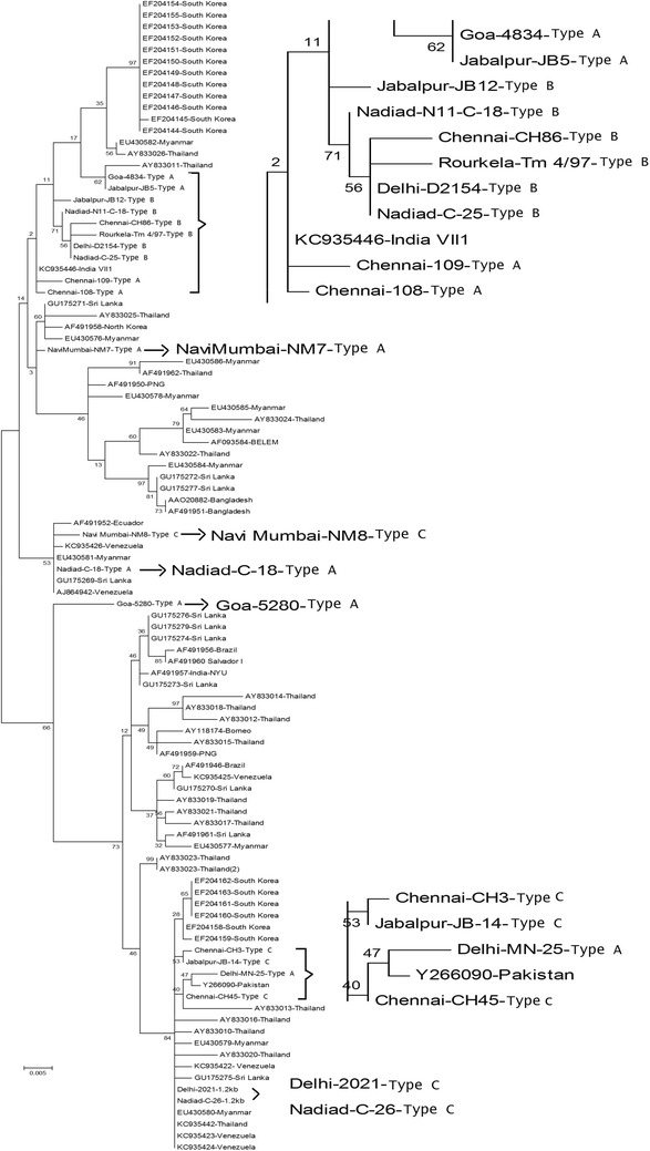 Fig. 4
