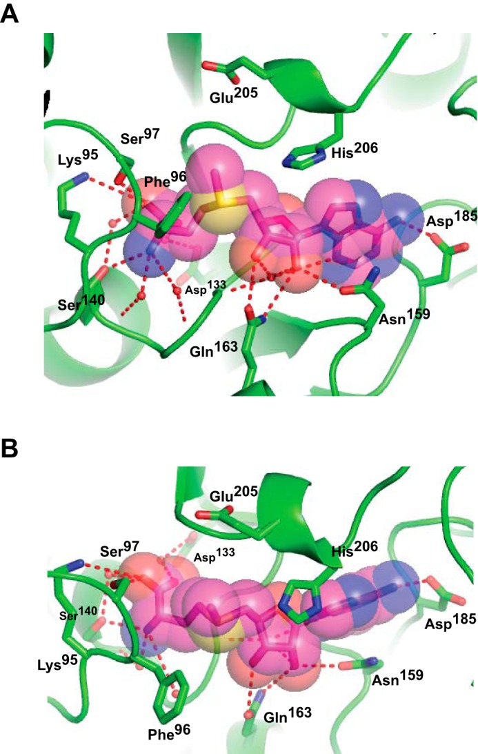 FIGURE 5.