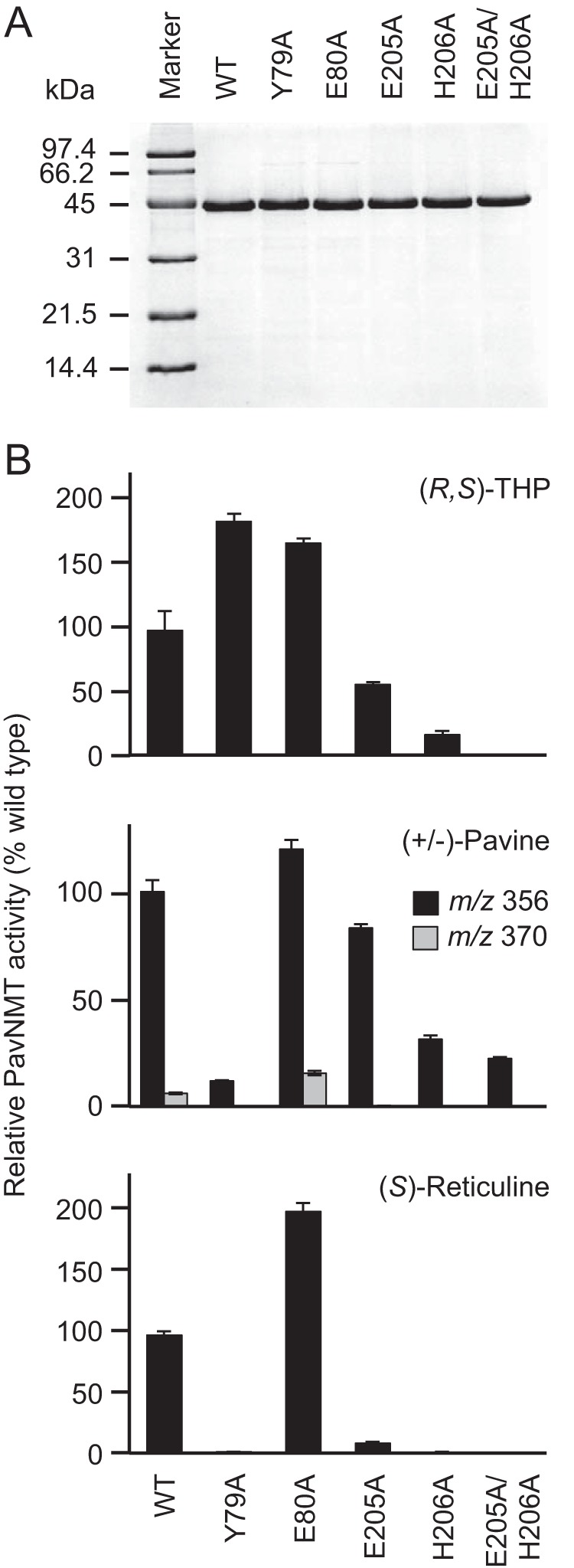 FIGURE 7.