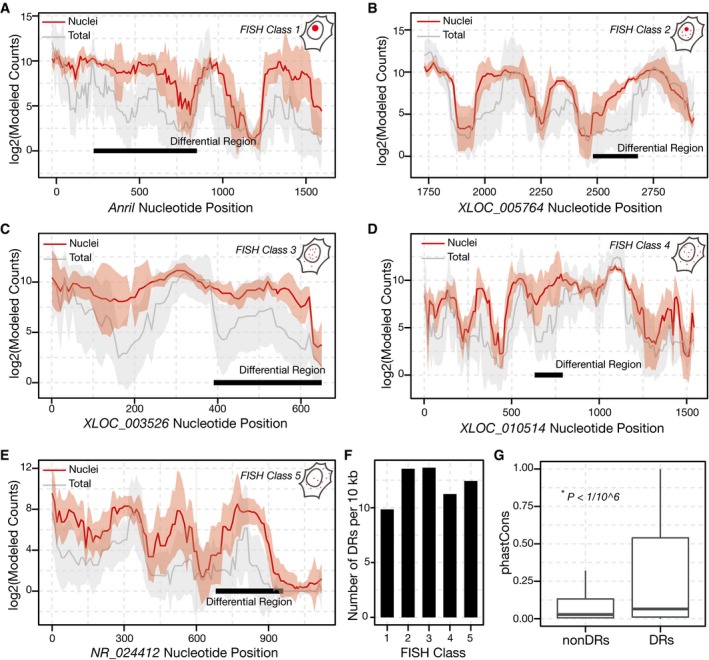 High‐throughput identification of
            <scp>RNA</scp>
            nuclear enrichment sequences