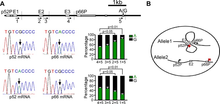 FIG 4