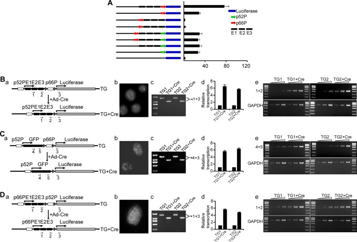 FIG 6