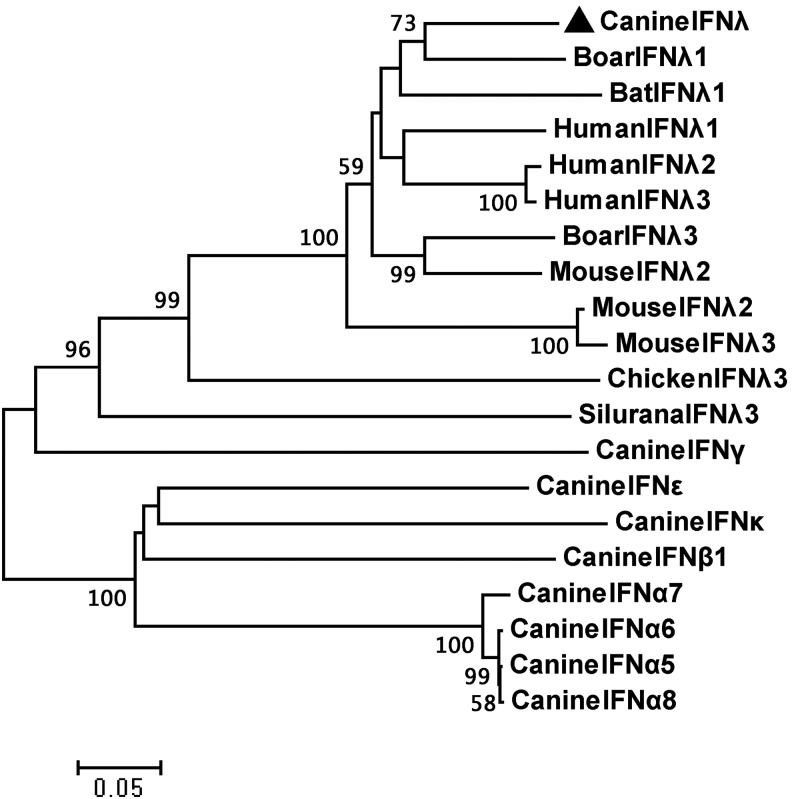 FIG. 1.