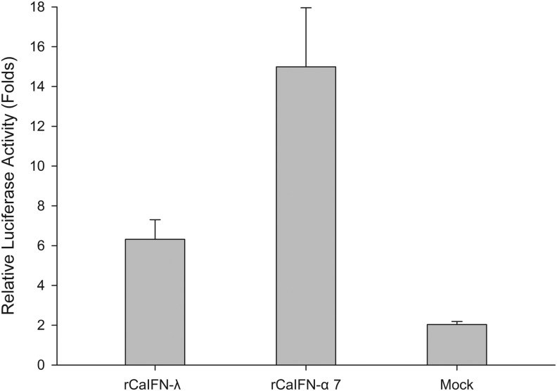 FIG. 4.