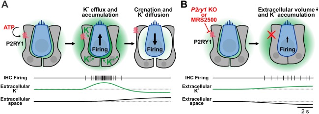 Figure 9.