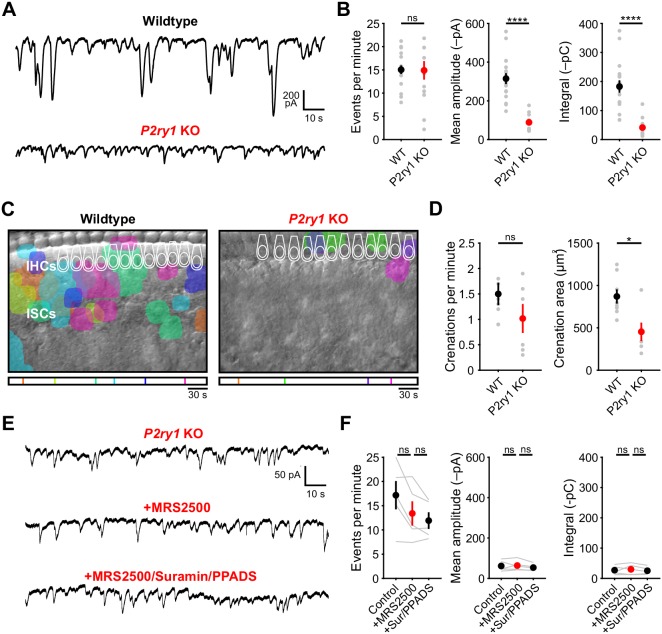 Figure 3—figure supplement 2.