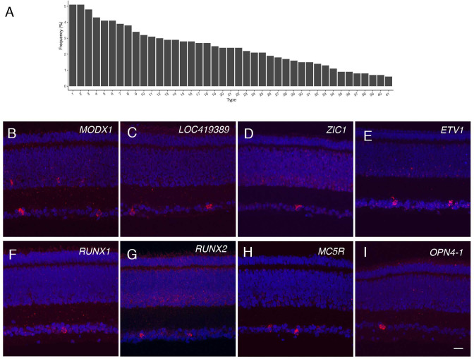 Figure 7—figure supplement 1.