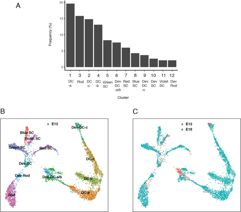 Figure 3—figure supplement 1.