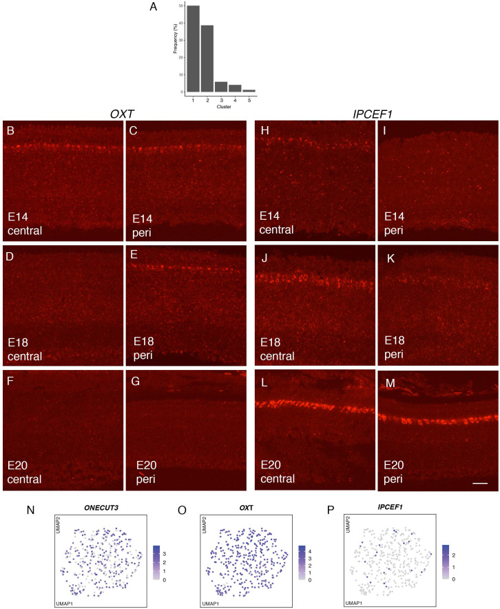 Figure 4—figure supplement 1.