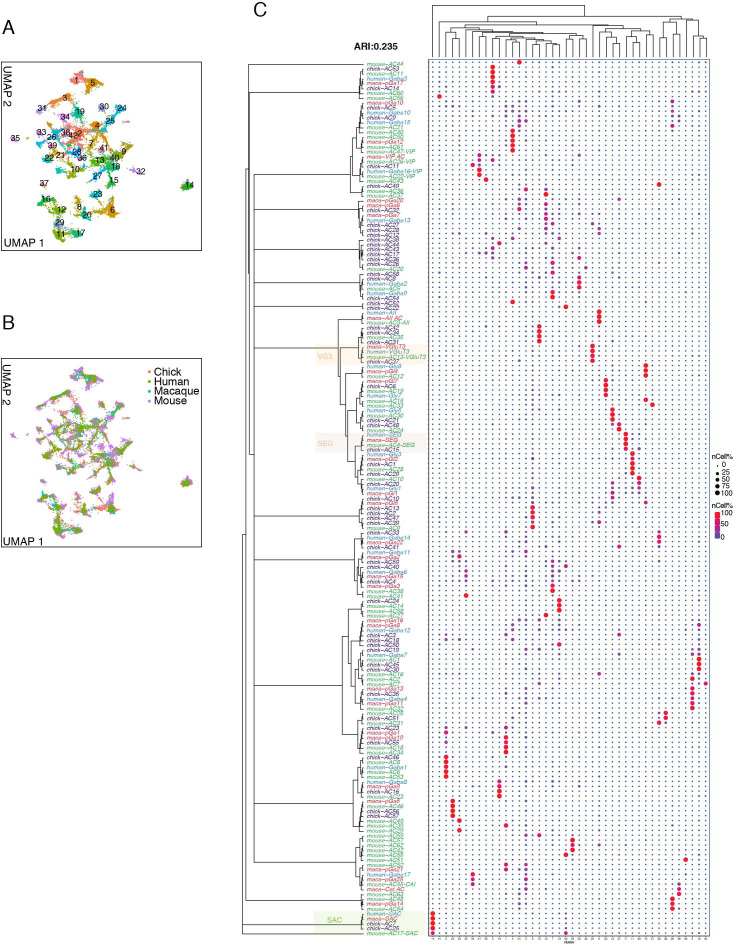 Figure 11—figure supplement 1.