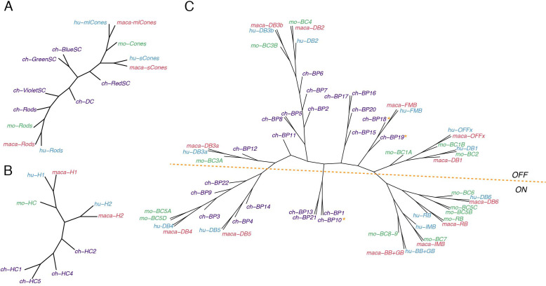 Figure 11.