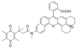 graphic file with name cells-13-01272-i018.jpg