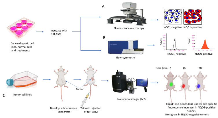 Figure 11