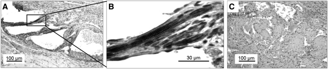 FIG. 5.