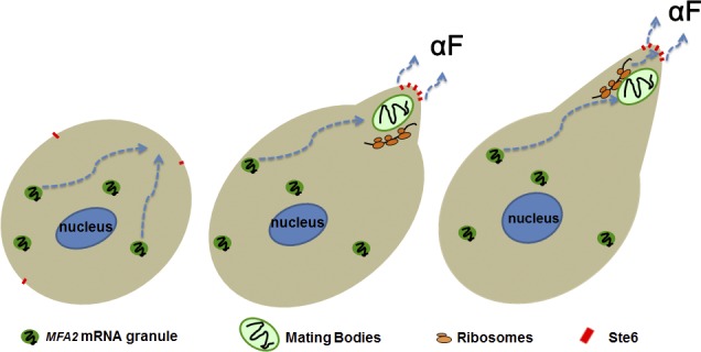 Figure 9.