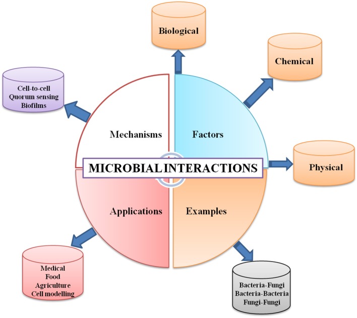 Graphical Abstract