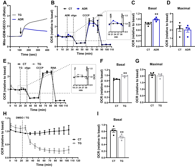 Figure 6