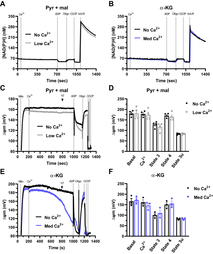 Figure 4