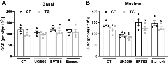 Figure 7