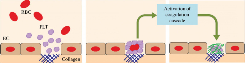 FIG. 5