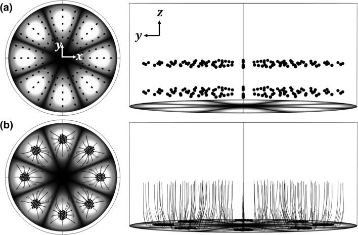 Fig. 7