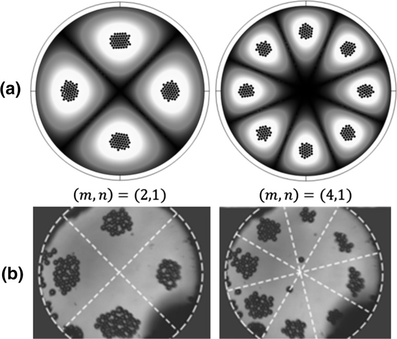 Fig. 2