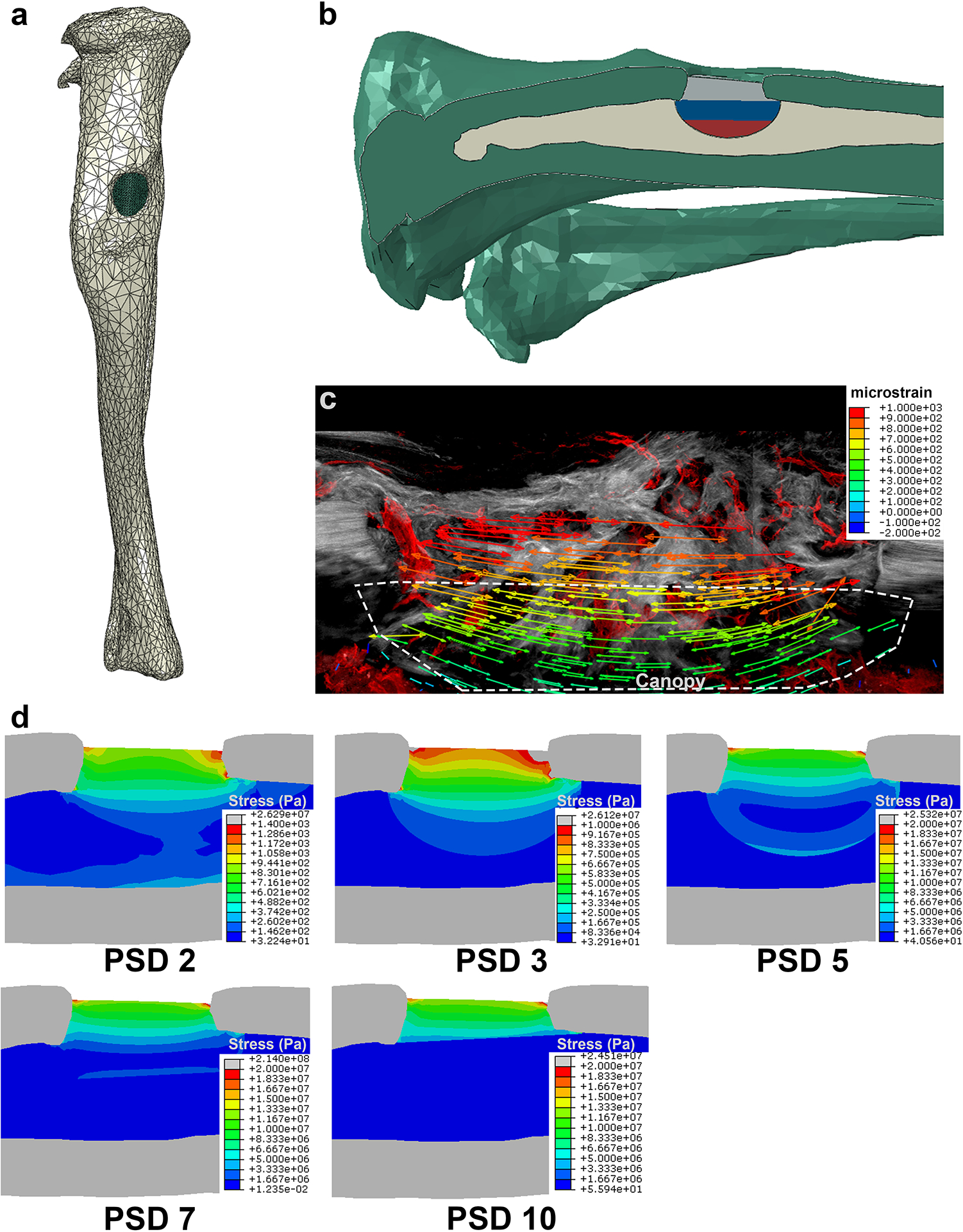 Figure 4.