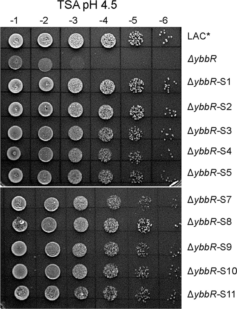 FIGURE 7.