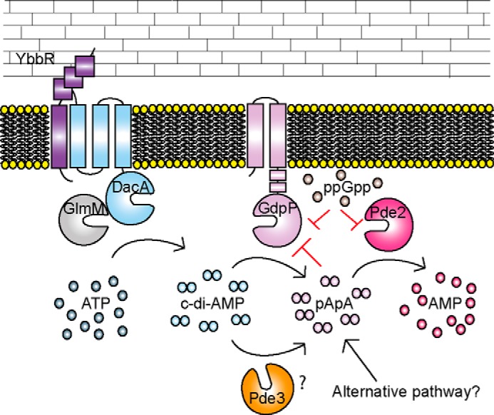 FIGURE 10.