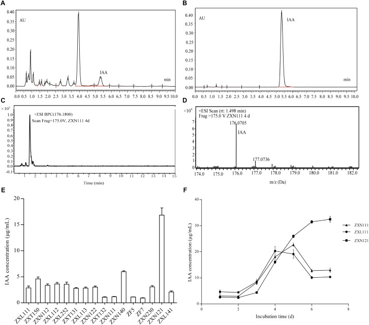 FIGURE 3