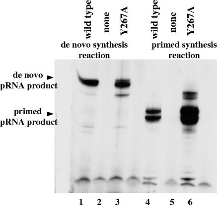 FIG. 6.