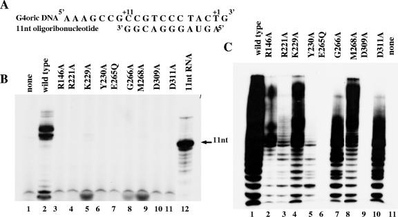 FIG. 5.