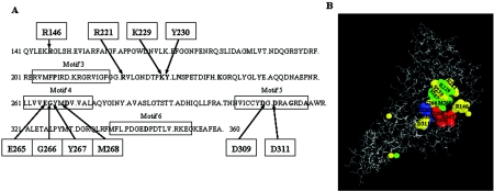 FIG. 1.