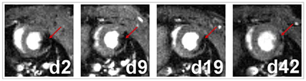 Fig. 5