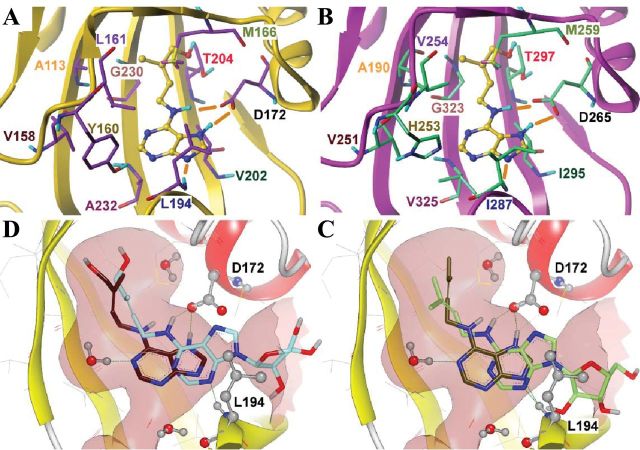 Fig. 6.