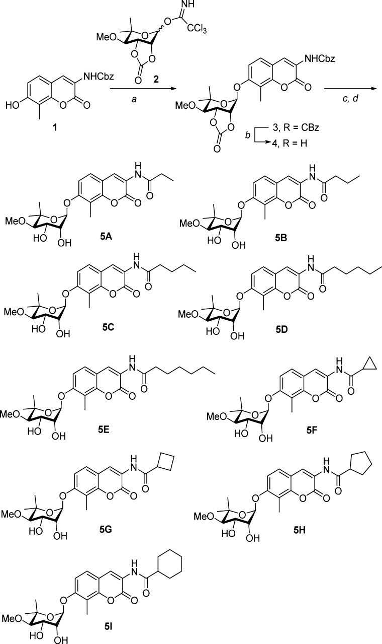 Scheme 1