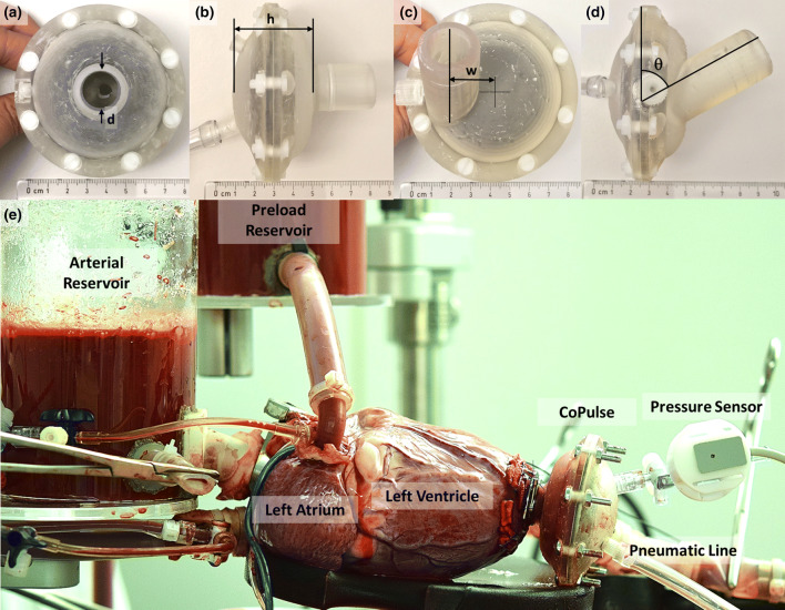 Figure 1