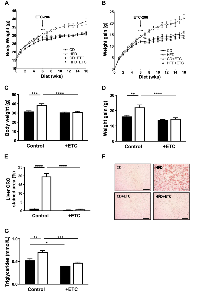 Figure 5