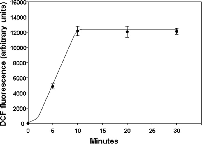 FIGURE 5.