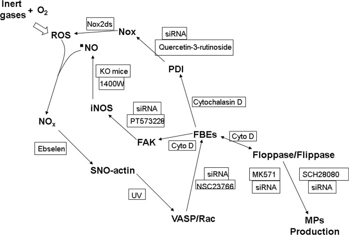 FIGURE 9.