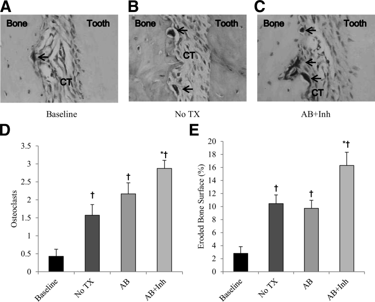 Figure 6