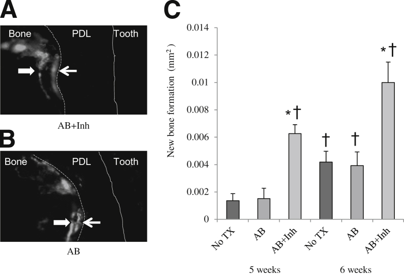 Figure 5