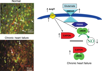 Figure 6