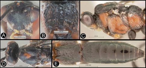 Figure 4.