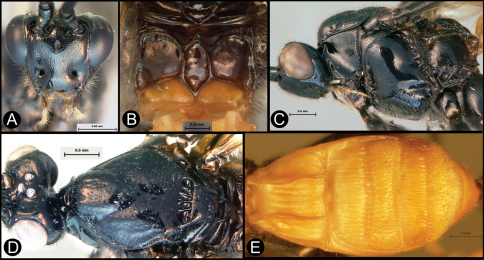 Figure 15.